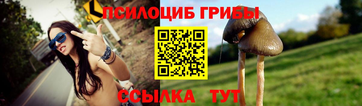 Курск  Галлюциногенные грибы MAGIC MUSHROOMS  Вход с VPN 